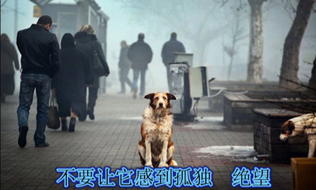 淮南淮南爱影圈微博微信转发案例